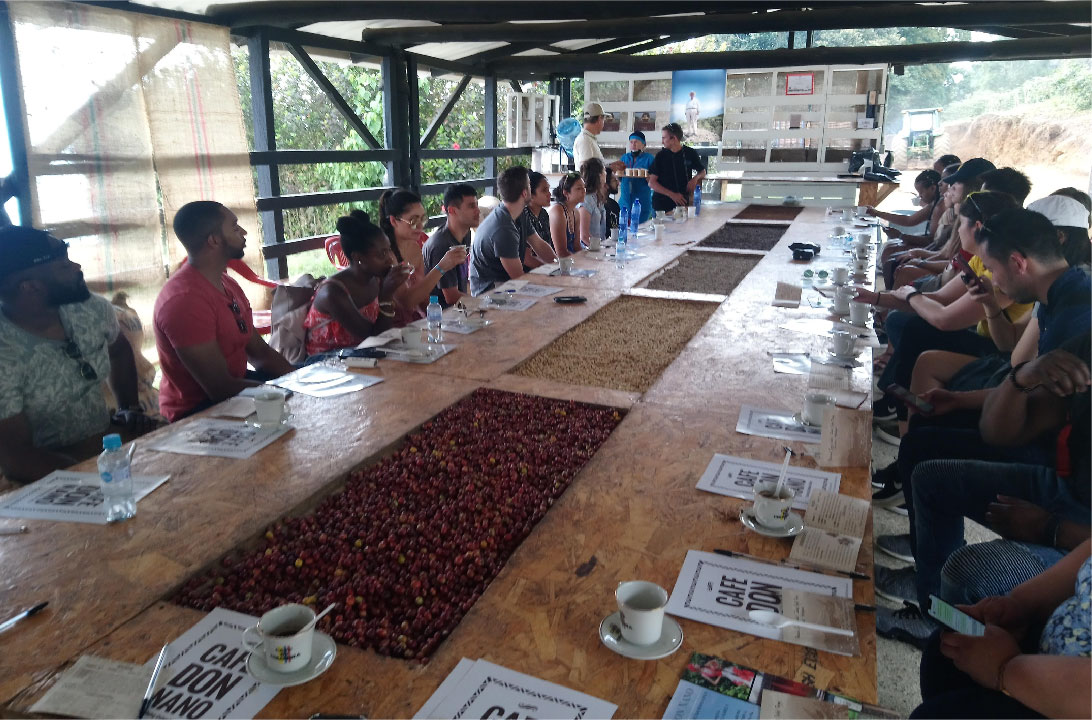 Tour cafetero en Jericó