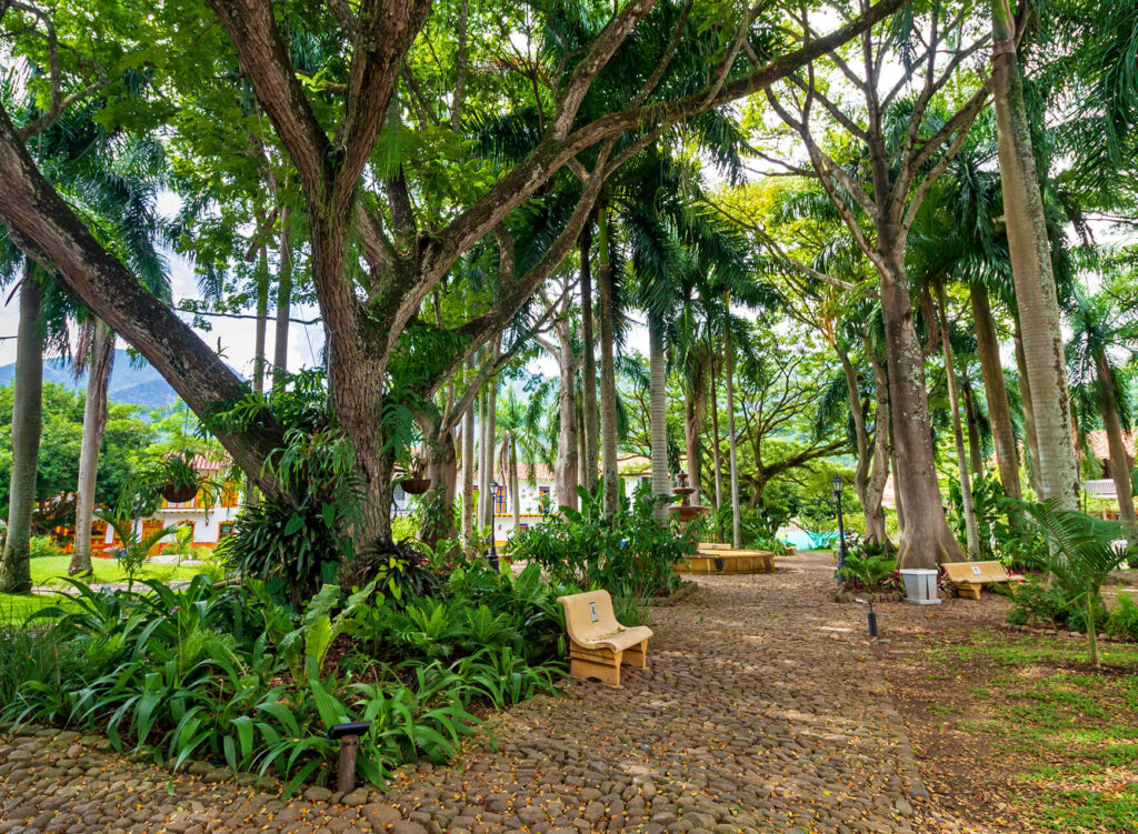 Senderos Cauca Viejo